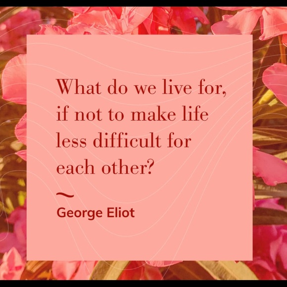 Meet your Posher, Denise - Picture 3 of 3